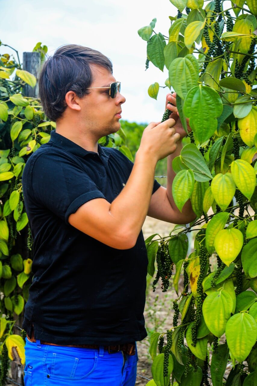 Arnaud criador do Comptoir de Toamasina em uma plantação de pimenta